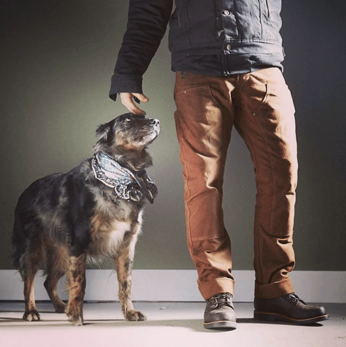 GN.01 Waxed Canvas Fitted Work Pant - Brush Brown - Image 4